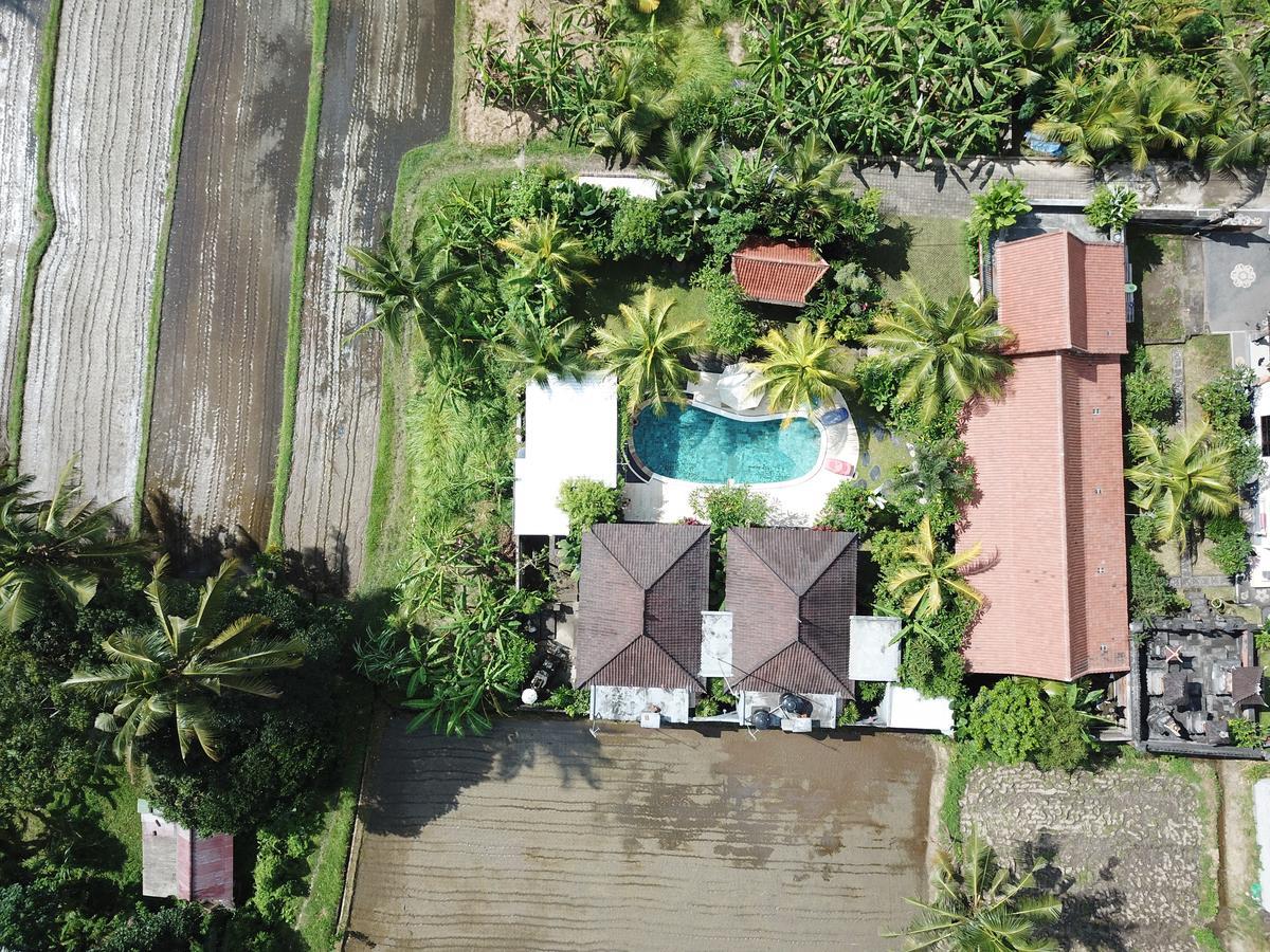 Baliwid Villa Ubud Exteriör bild